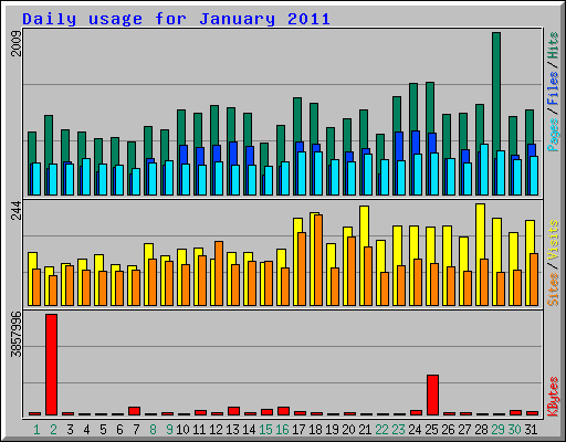 Daily usage for January 2011