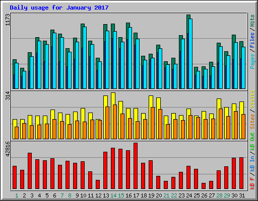 Daily usage for January 2017