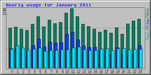 Hourly usage for January 2011