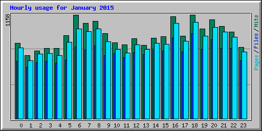 Hourly usage for January 2015