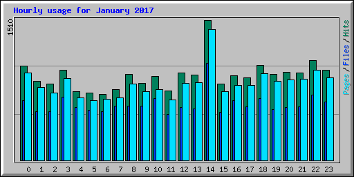 Hourly usage for January 2017